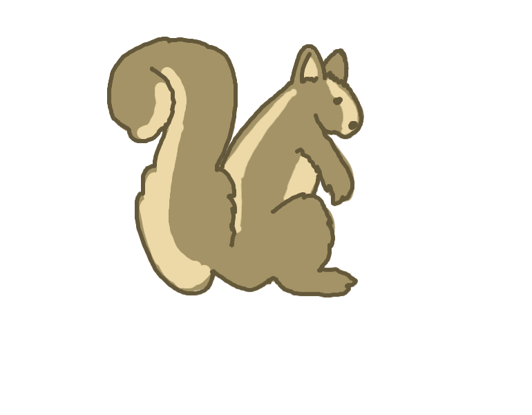 Squirrel